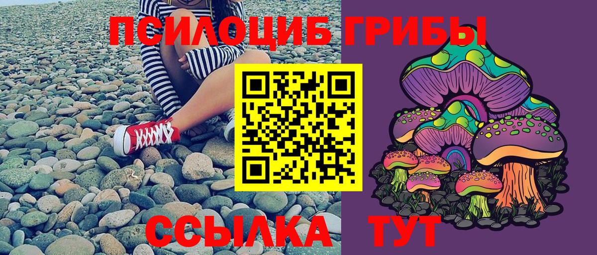 Галлюциногенные грибы Psilocybe  Псилоцибиновые грибы ЛСД  Вход с VPN  Сланцы 